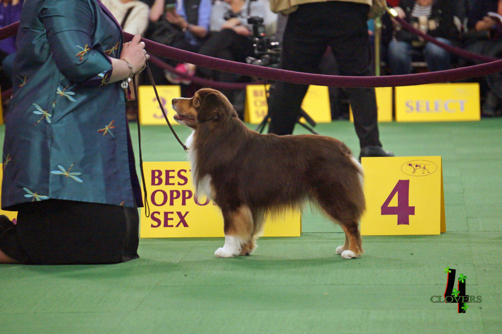 Away To Me Cadillac Jack