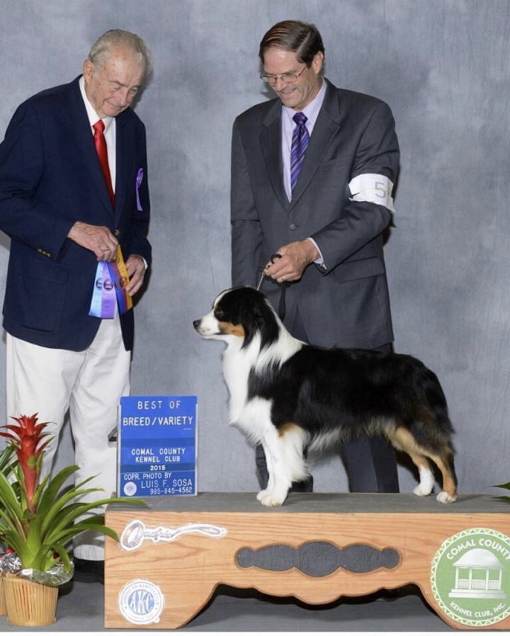 Purple Rain of Surf Paradise